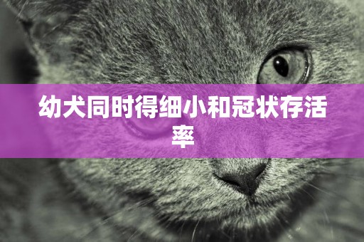 幼犬同時得細小和冠狀存活率