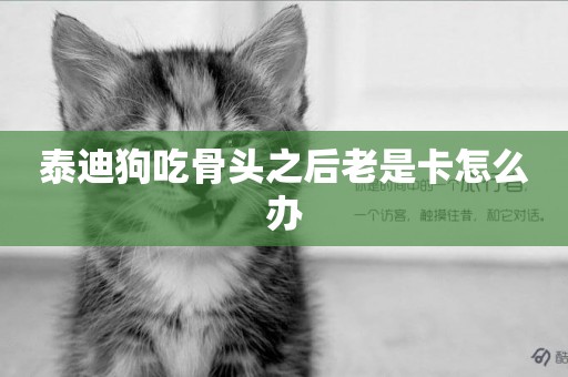 泰迪狗吃骨頭之后老是卡怎么辦