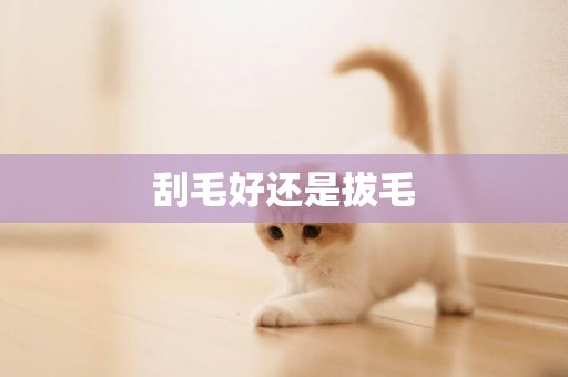 刮毛好還是拔毛