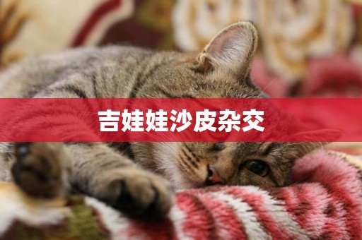 吉娃娃沙皮雜交