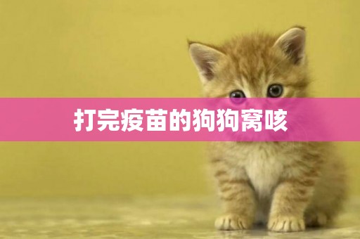 打完疫苗的狗狗窩咳