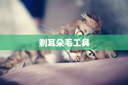 剃耳朵毛工具