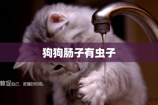 狗狗腸子有蟲子