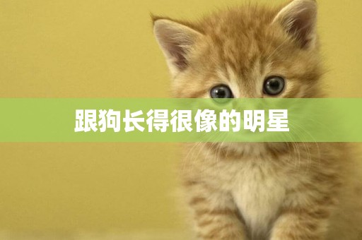跟狗長得很像的明星