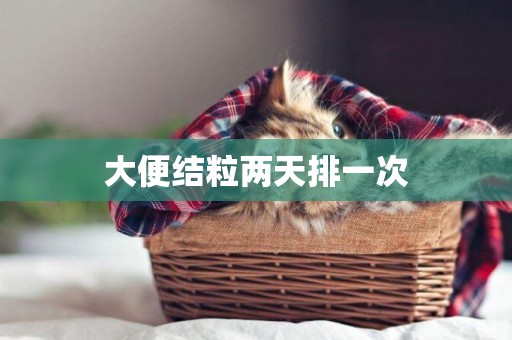 大便結粒兩天排一次