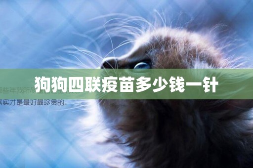 狗狗四聯疫苗多少錢一針