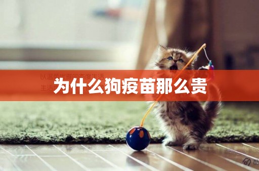 為什么狗疫苗那么貴