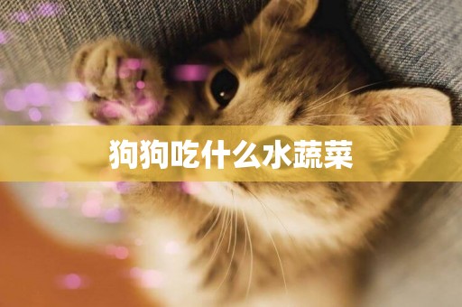 狗狗吃什么水蔬菜