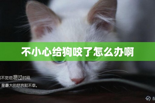 不小心給狗咬了怎么辦啊