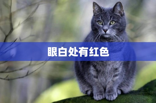眼白處有紅色