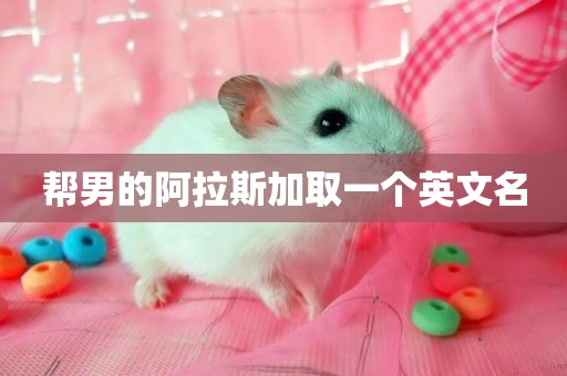 幫男的阿拉斯加取一個英文名