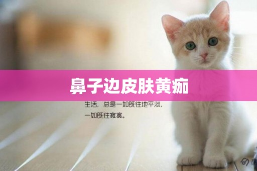 鼻子邊皮膚黃痂