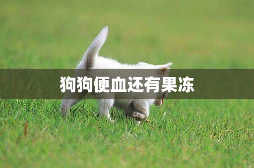 狗狗便血還有果凍
