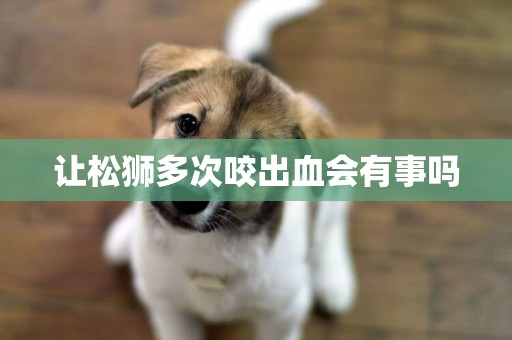 讓松獅多次咬出血會有事嗎