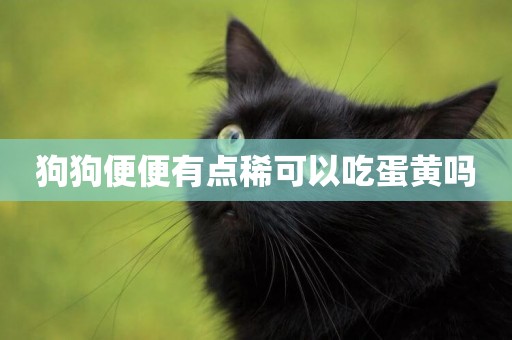 狗狗便便有點稀可以吃蛋黃嗎