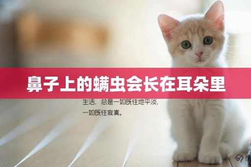 鼻子上的螨蟲會長在耳朵里