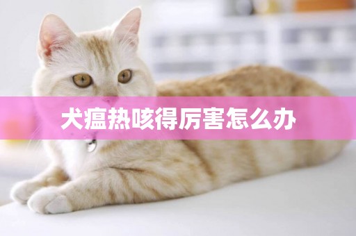 犬瘟熱咳得厲害怎么辦