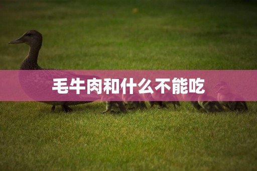 毛牛肉和什么不能吃