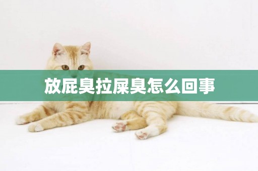 放屁臭拉屎臭怎么回事