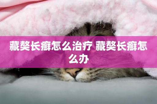 藏獒長癬怎么治療 藏獒長癬怎么辦