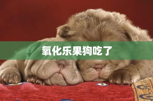 氧化樂果狗吃了
