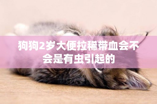 狗狗2歲大便拉稀帶血會不會是有蟲引起的
