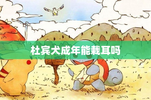 杜賓犬成年能栽耳嗎