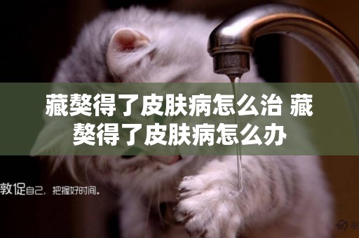 藏獒得了皮膚病怎么治 藏獒得了皮膚病怎么辦