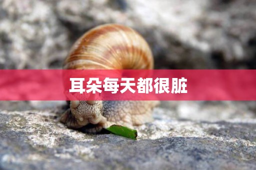 耳朵每天都很臟