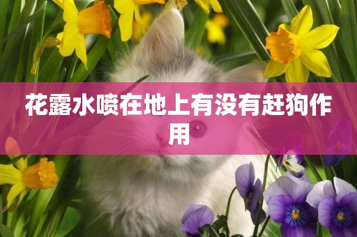 花露水噴在地上有沒有趕狗作用