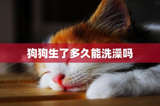 狗狗生了多久能洗澡嗎