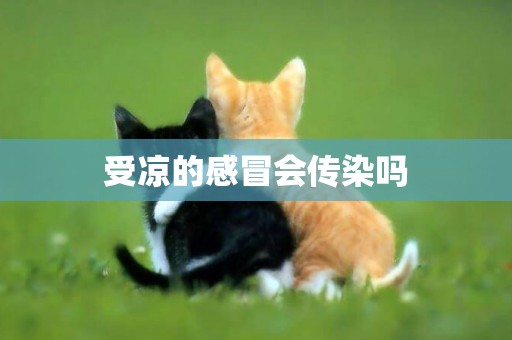 受涼的感冒會傳染嗎
