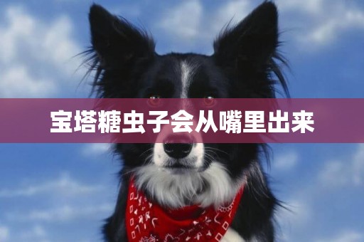 寶塔糖蟲子會從嘴里出來
