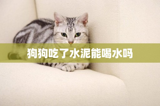 狗狗吃了水泥能喝水嗎