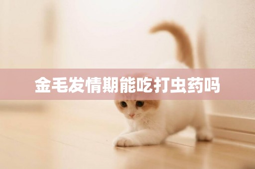 金毛發情期能吃打蟲藥嗎