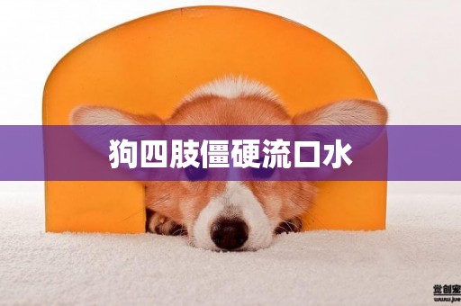 狗四肢僵硬流口水