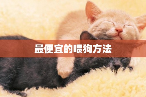 最便宜的喂狗方法