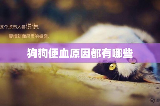 狗狗便血原因都有哪些