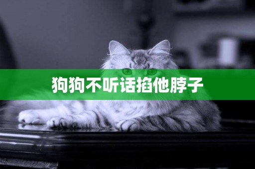 狗狗不聽話掐他脖子