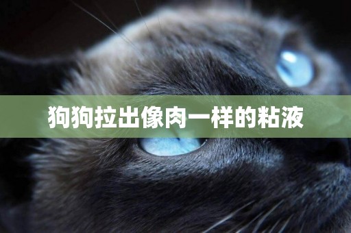 狗狗拉出像肉一樣的粘液