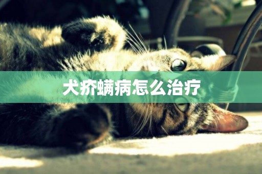 犬疥螨病怎么治療