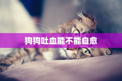 狗狗吐血能不能自愈