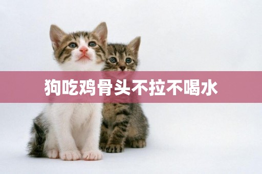 狗吃雞骨頭不拉不喝水