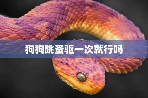 狗狗跳蚤驅一次就行嗎