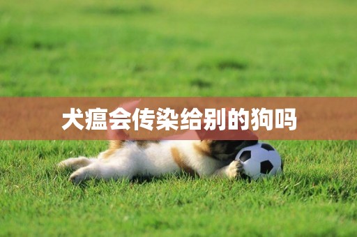 犬瘟會傳染給別的狗嗎