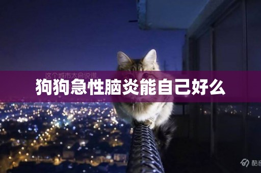 狗狗急性腦炎能自己好么