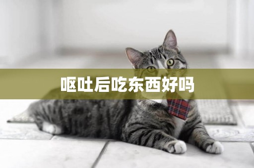 嘔吐后吃東西好嗎