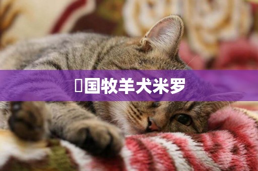徳國牧羊犬米羅