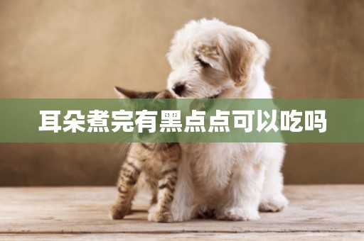 耳朵煮完有黑點點可以吃嗎