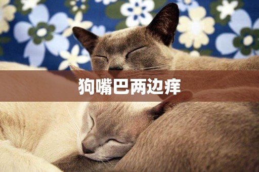 狗嘴巴兩邊癢